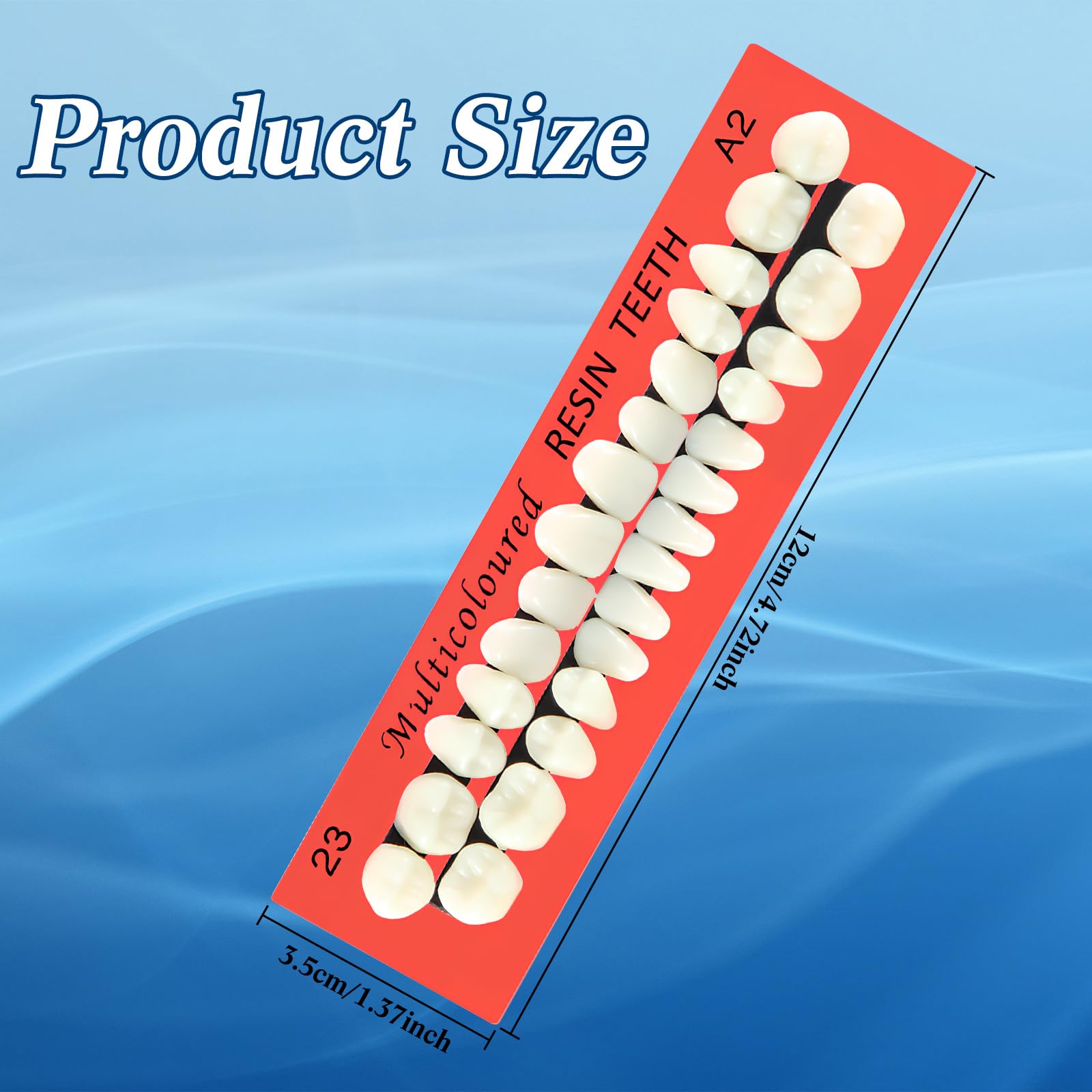 Close-up of realistic A2 acrylic resin denture teeth