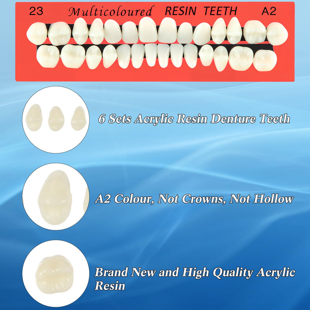 Includes incisors, canines, fangs, and molars for complete tooth types