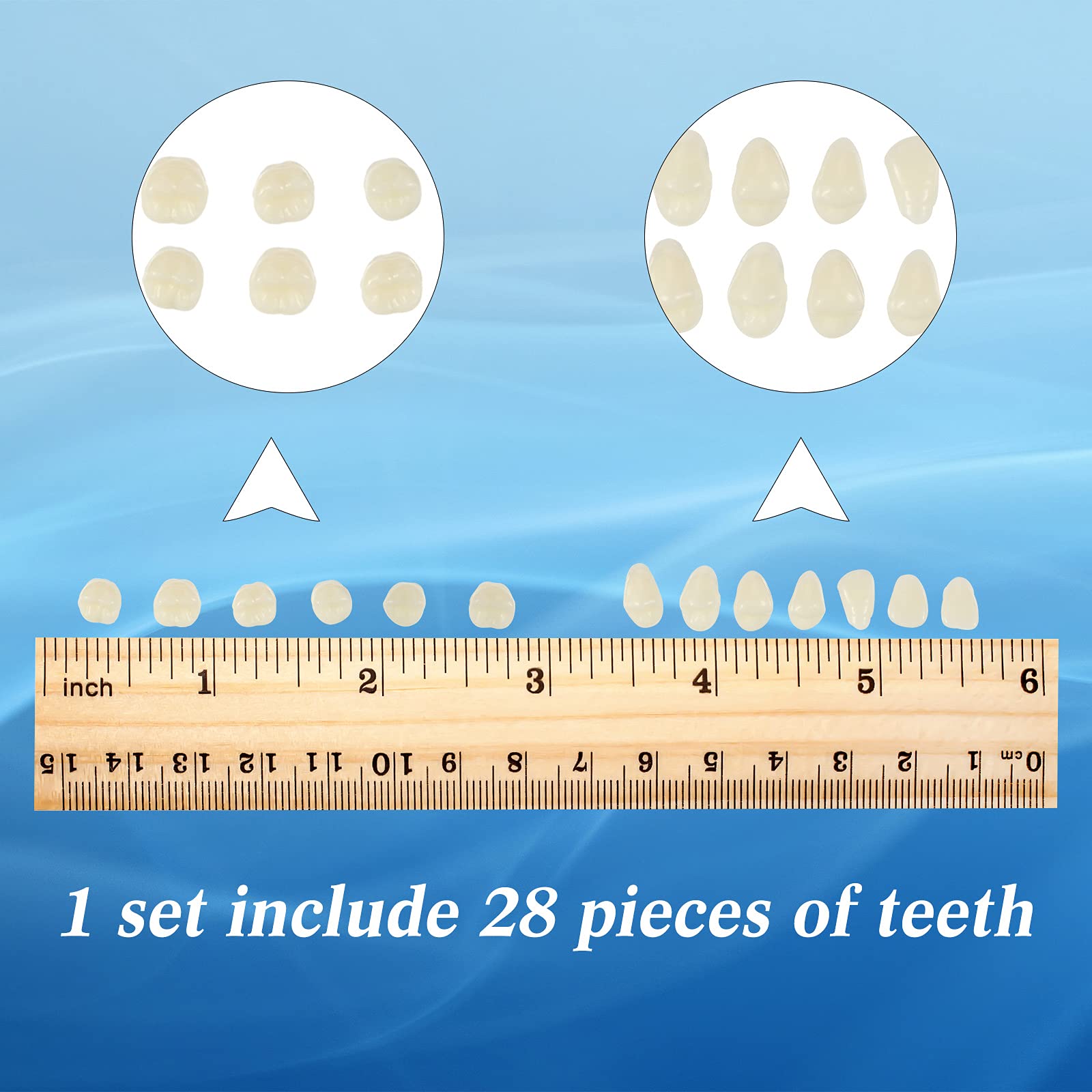 Denture teeth stored on a fitted acrylic background board
