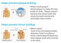 Graphic illustration of propolis and bee-derived ingredients