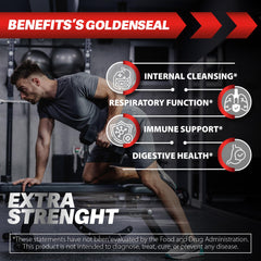 Goldenseal extract 10:1 concentrate illustration