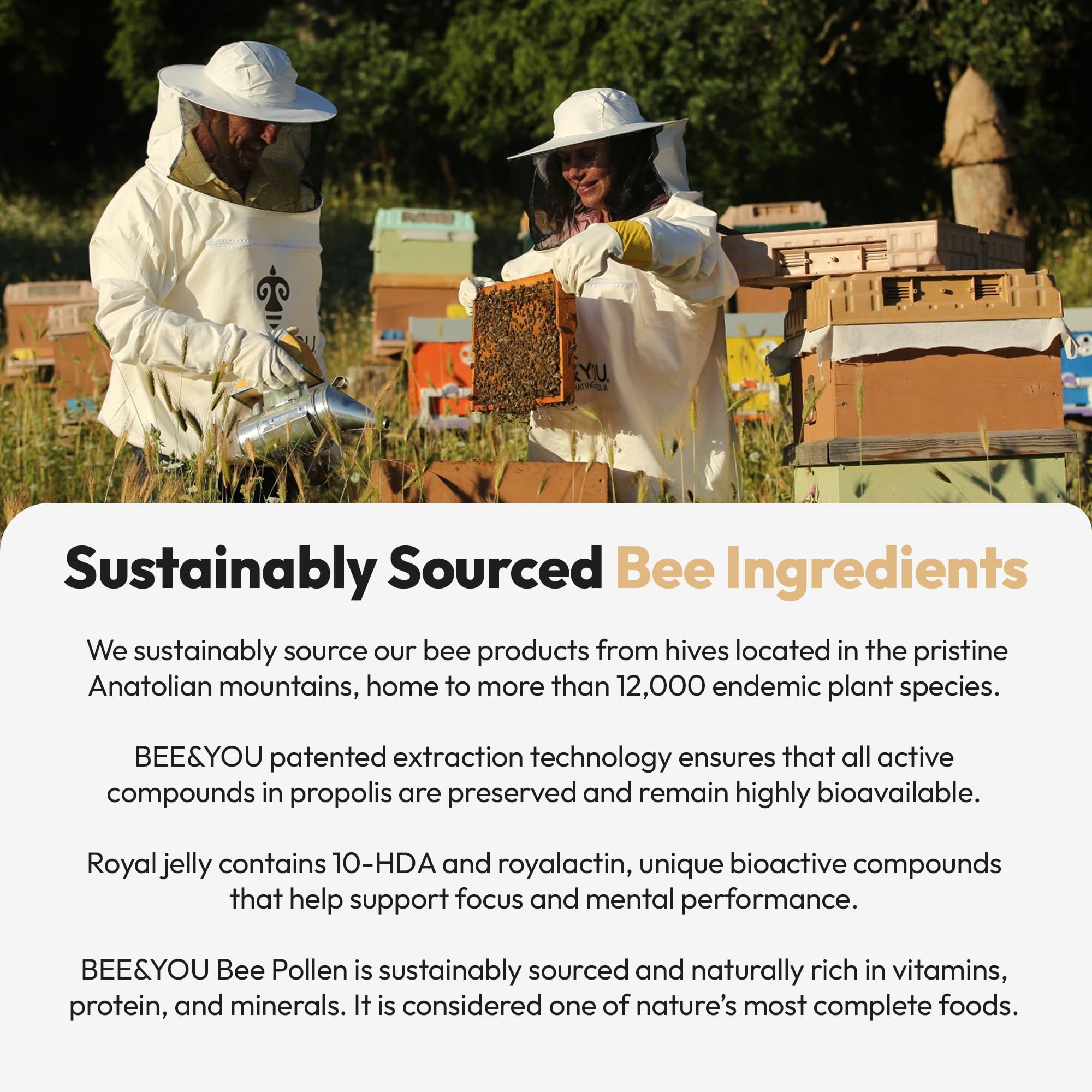 Packaging of Bee and You Royal Jelly Tablets 60ct