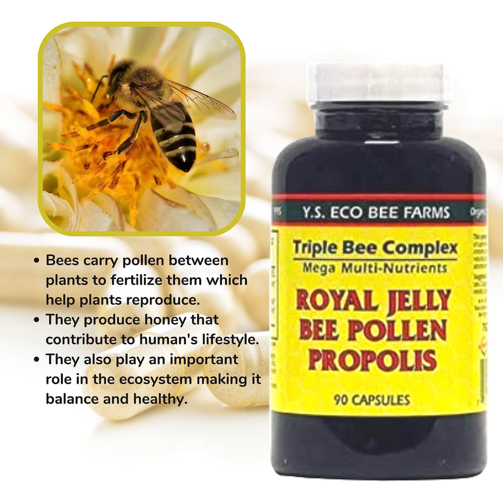 Bee-based nutrition as a protein powder alternative