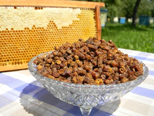 Close-up of raw bee bread texture