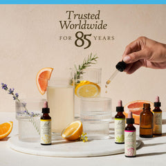 Beech 20ml dropper packaging and labeling