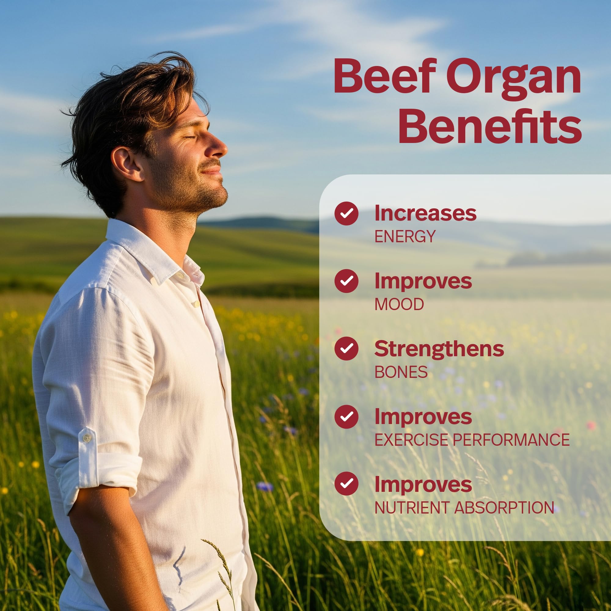 USA-made beef organ supplement packaging in a GMP facility