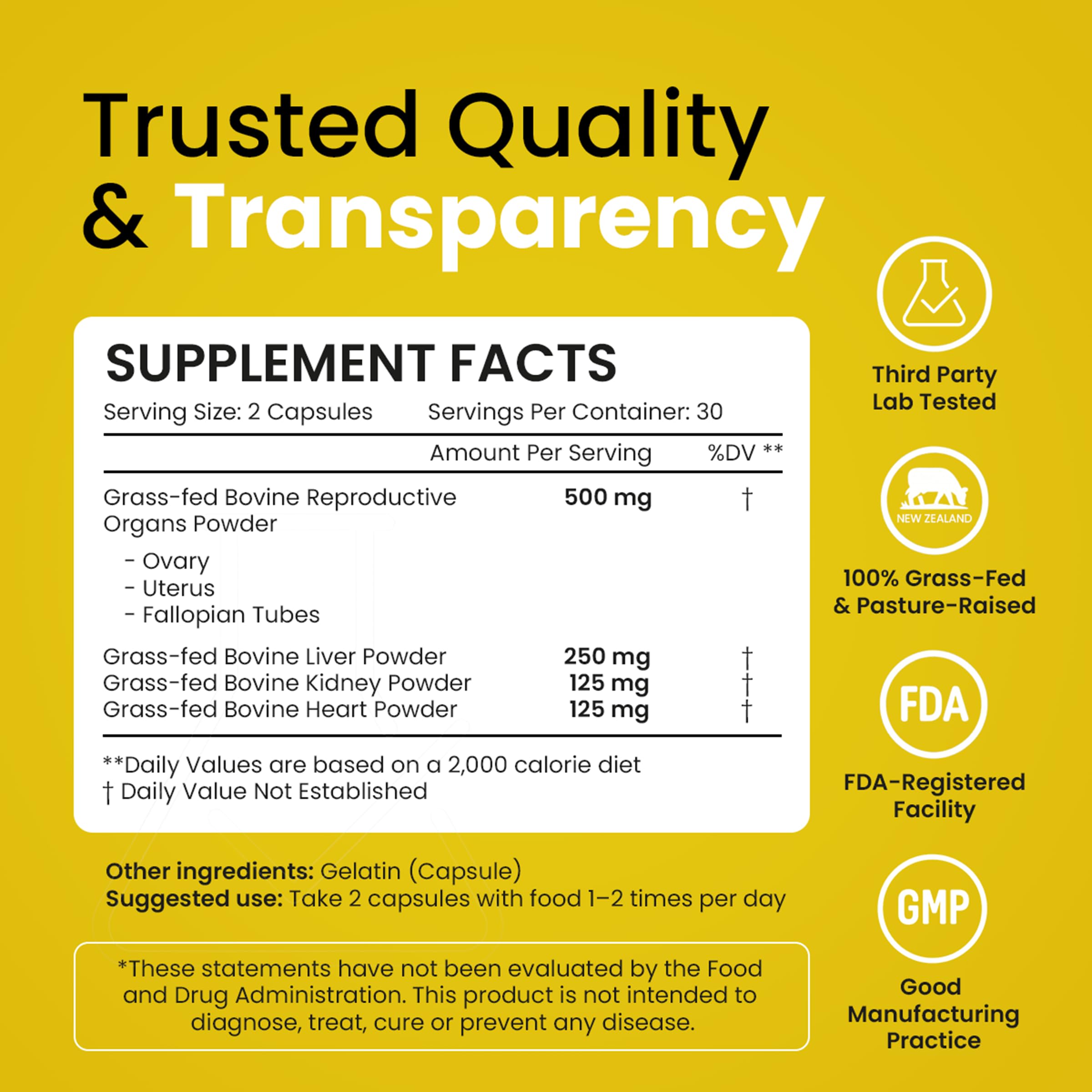 Beef organ supplement capsules on white background