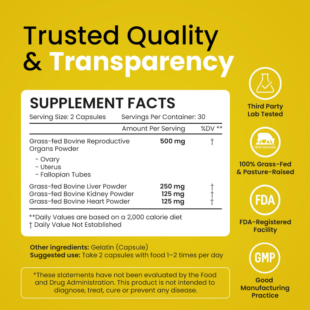 Beef organ supplement capsules on white background