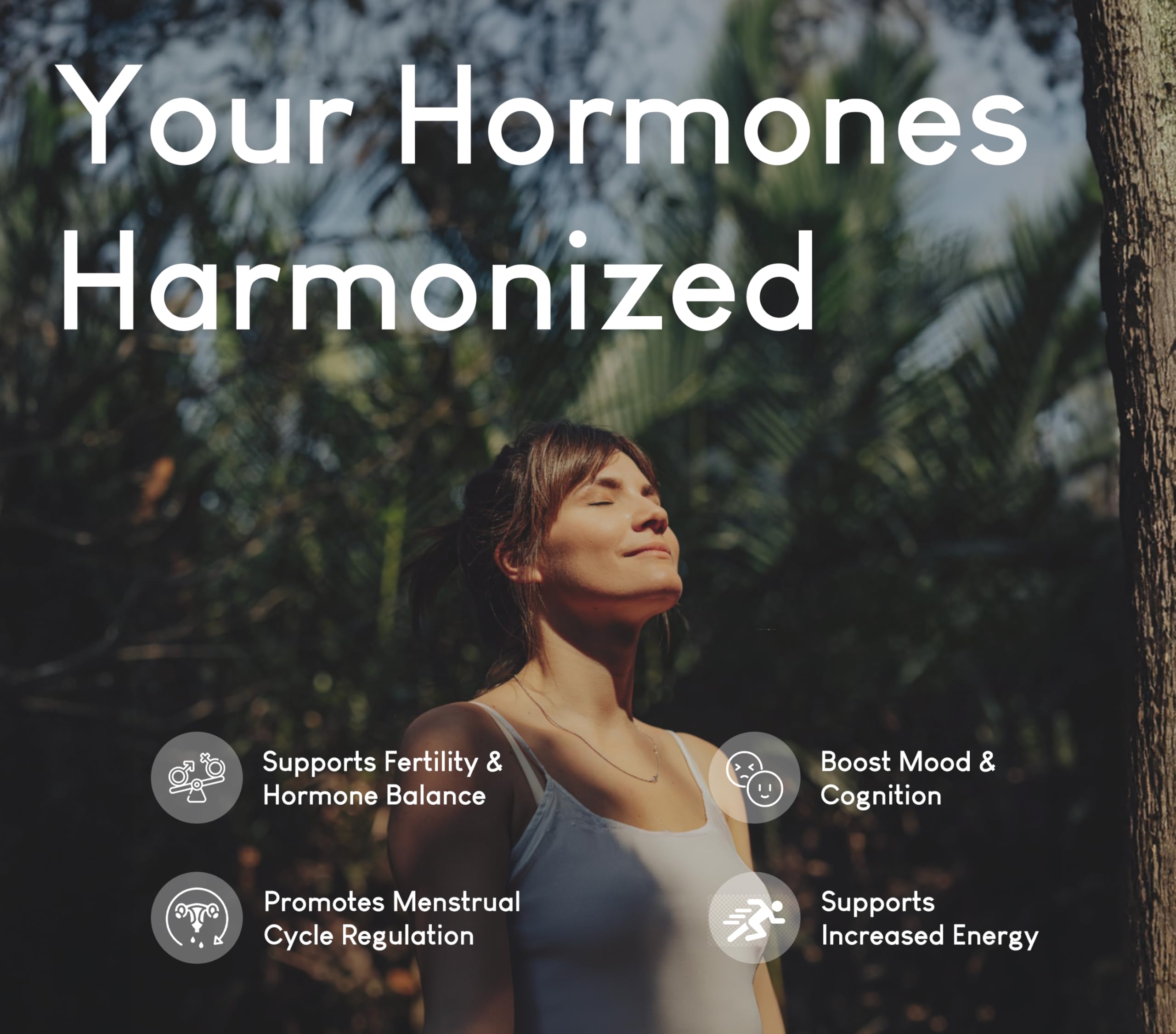 Graphic illustrating cycle harmony and mood support from organ nourishment.