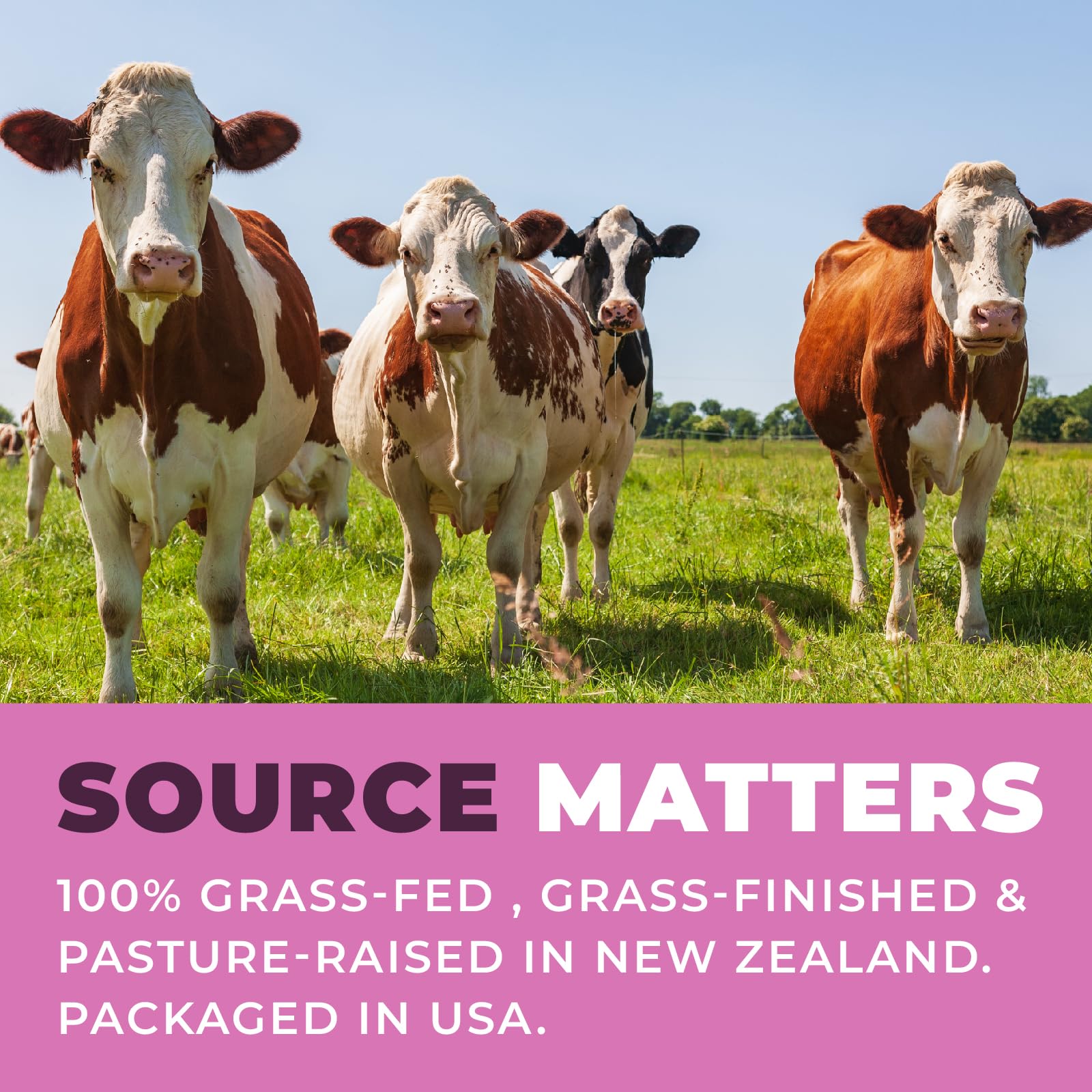 Product packaging highlighting pasture-raised NZ origin and no fillers