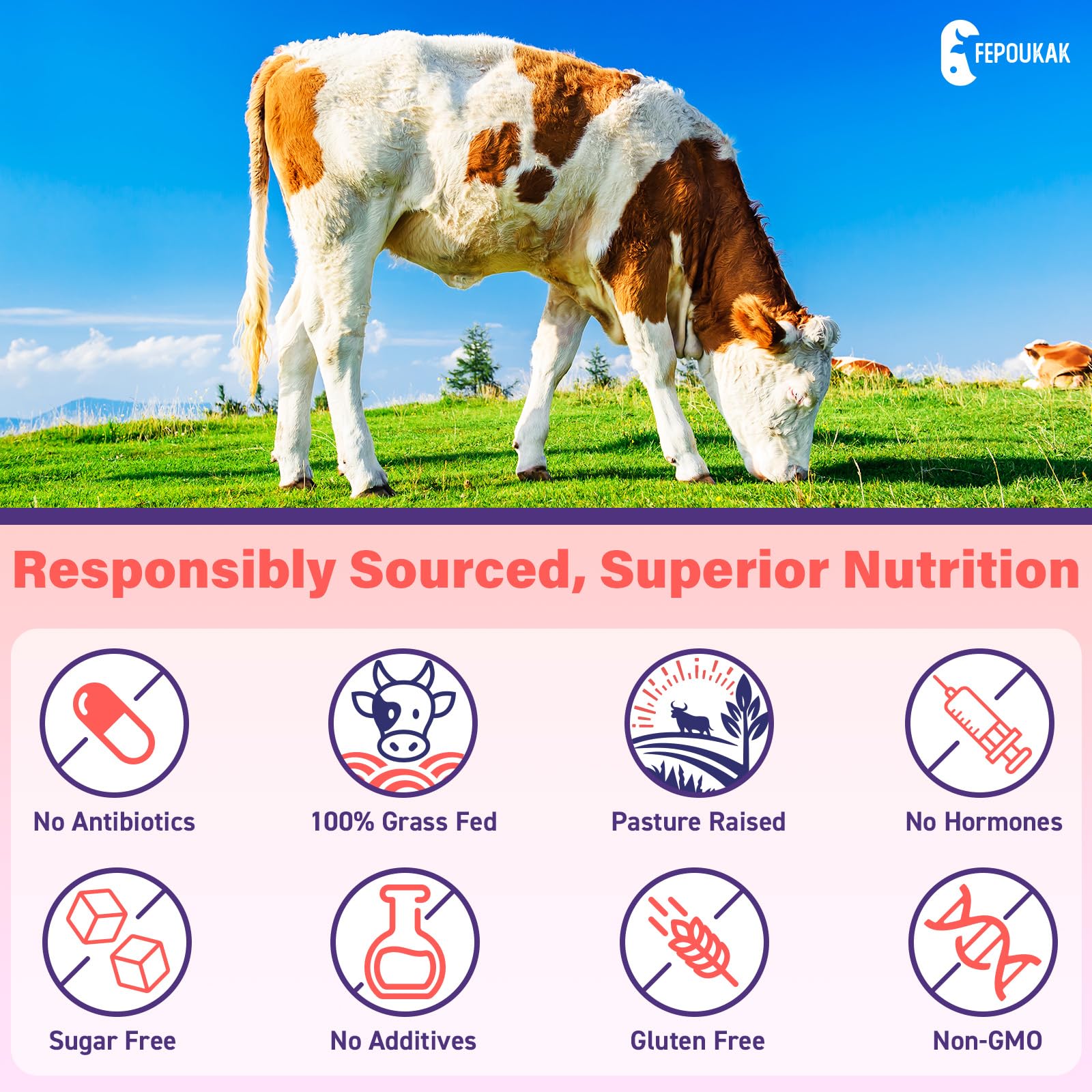 Estrogen plant extract blend and probiotic in gummies