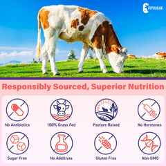 Estrogen plant extract blend and probiotic in gummies