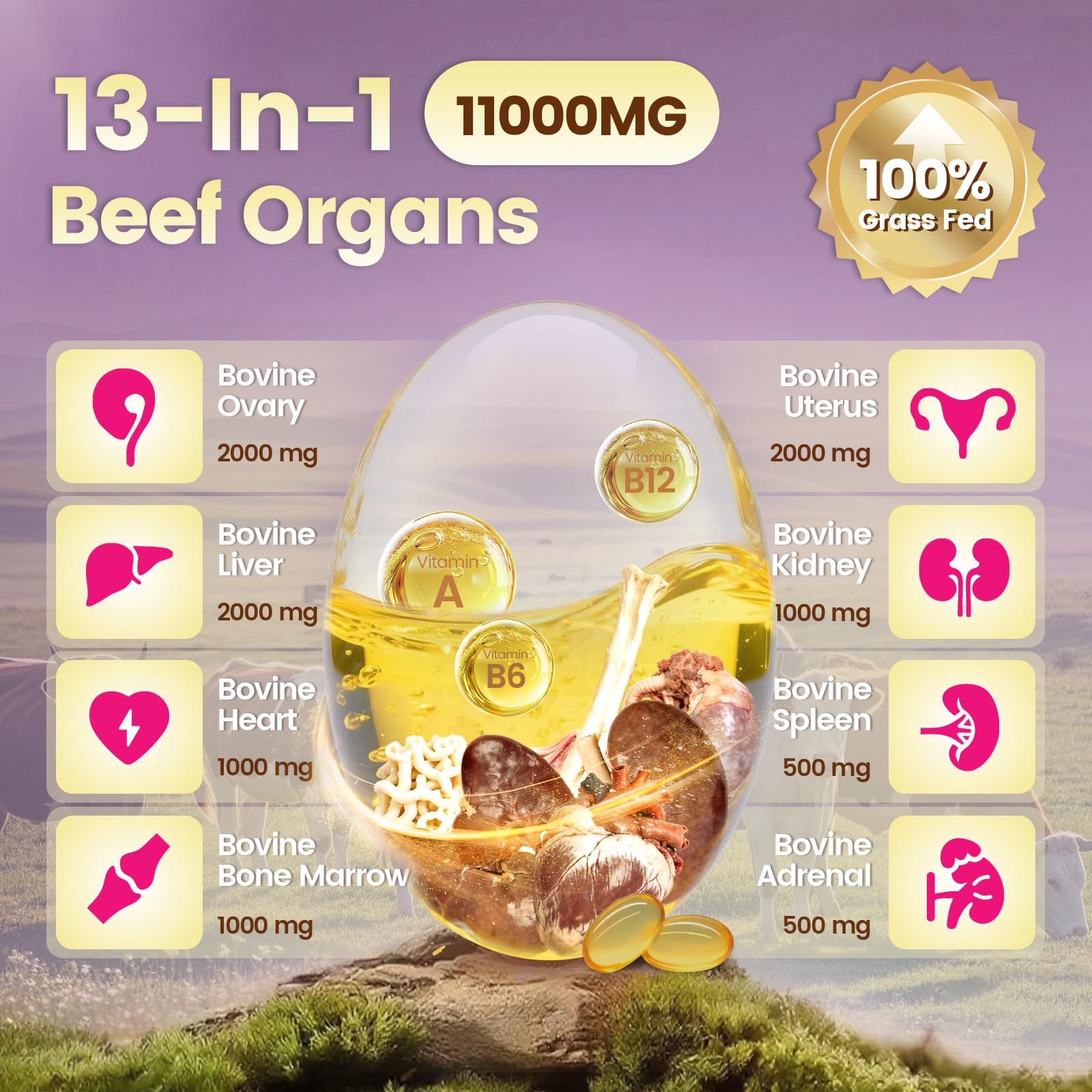 Key ingredients include bovine liver, ovary, uterus, kidney and heart