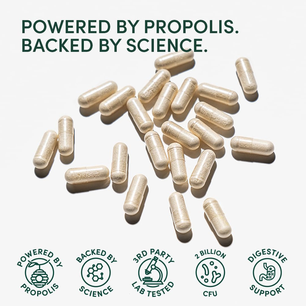 Propolis-powered gut health concept and ingredients
