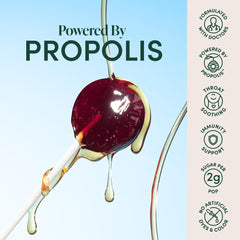 Close-up of ingredients: elderberry, propolis extract, vitamin D, zinc, and honey