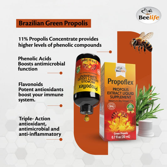 Green propolis tincture with high Artepillin-C content
