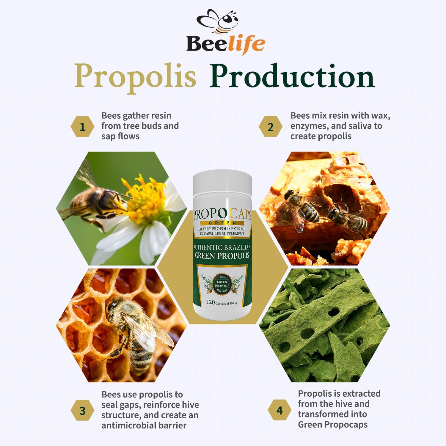 Beelife Green Propolis Capsules with natural ingredients