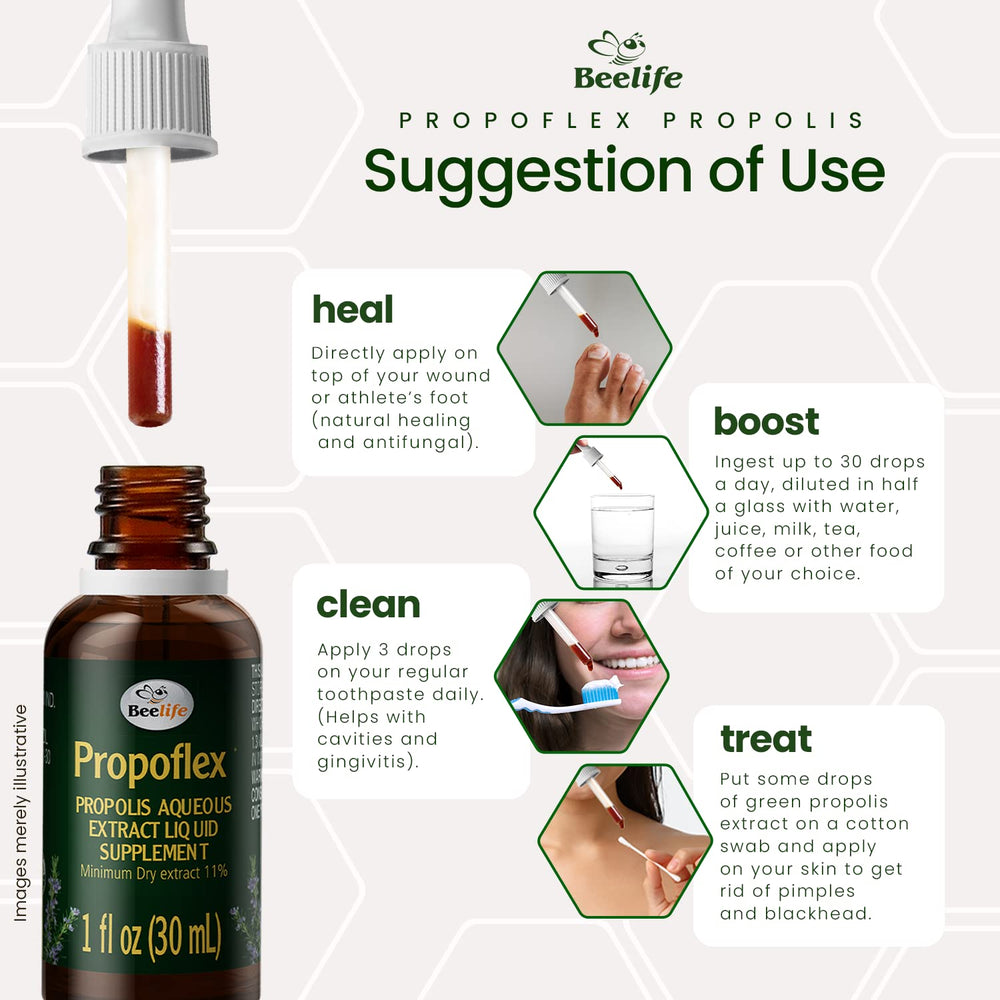 Green Propolis extract liquid close-up highlighting Artepillin-C