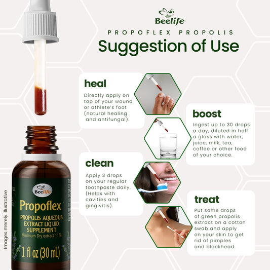 Green Propolis extract liquid close-up highlighting Artepillin-C