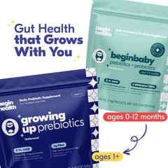 Plant-based fiber from chicory root
