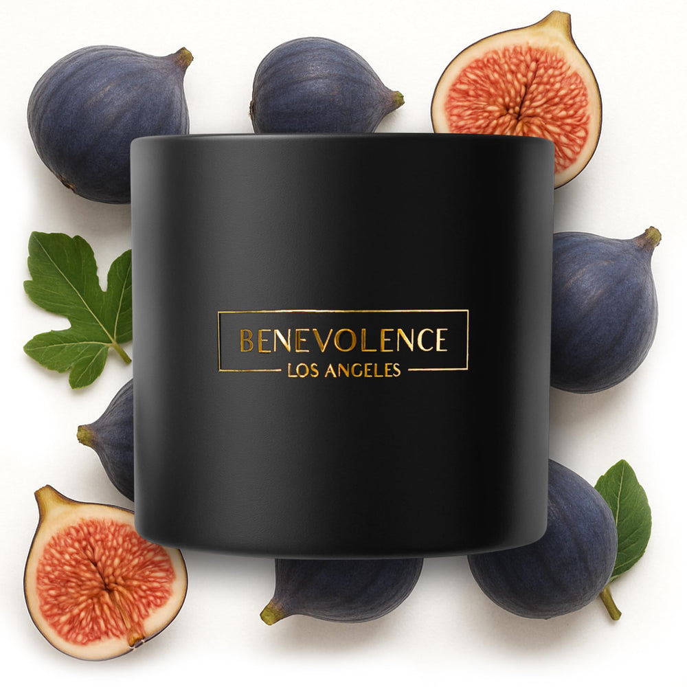 Benevolence LA 3-Wick Fig Tree Candle 14.5 oz front view