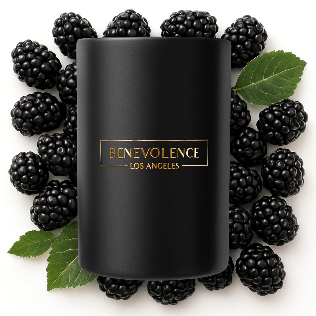 Benevolence LA Black Berries Baies scented candle 10oz front view with black wax
