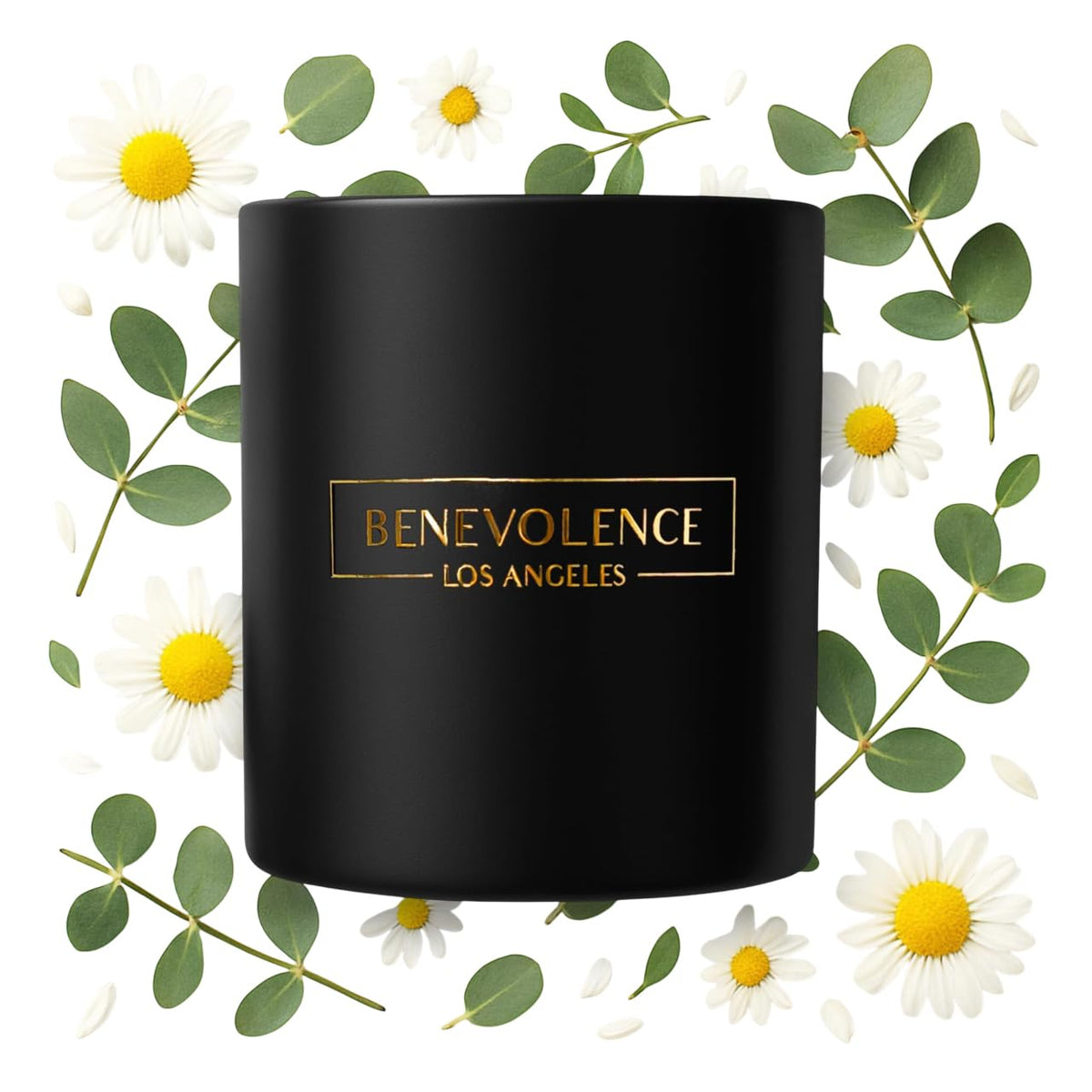 Benevolence LA Eucalyptus & Chamomile 8oz soy candle in black jar - front view
