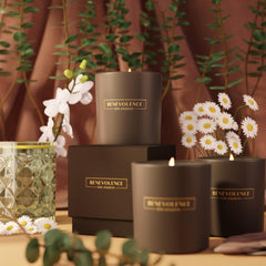 Warm glow of Benevolence LA candle burning in a dim room