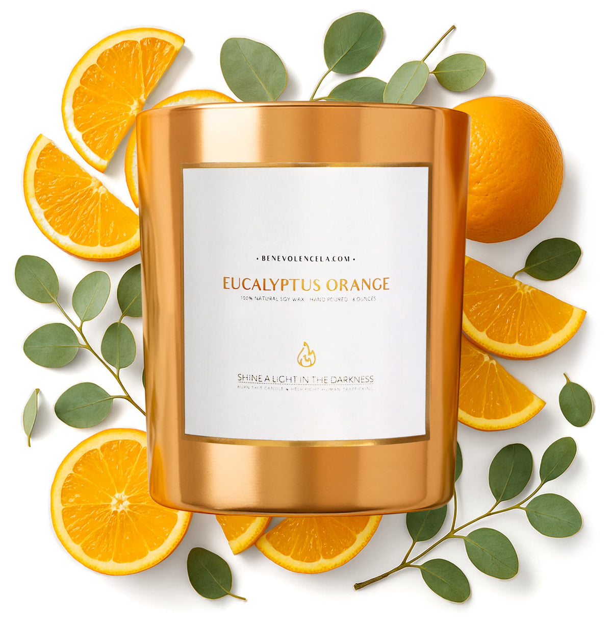 Benevolence LA eucalyptus orange wood wick candle on a warm holiday surface