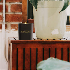 Product packaging for Benevolence LA Pine Scented Candle