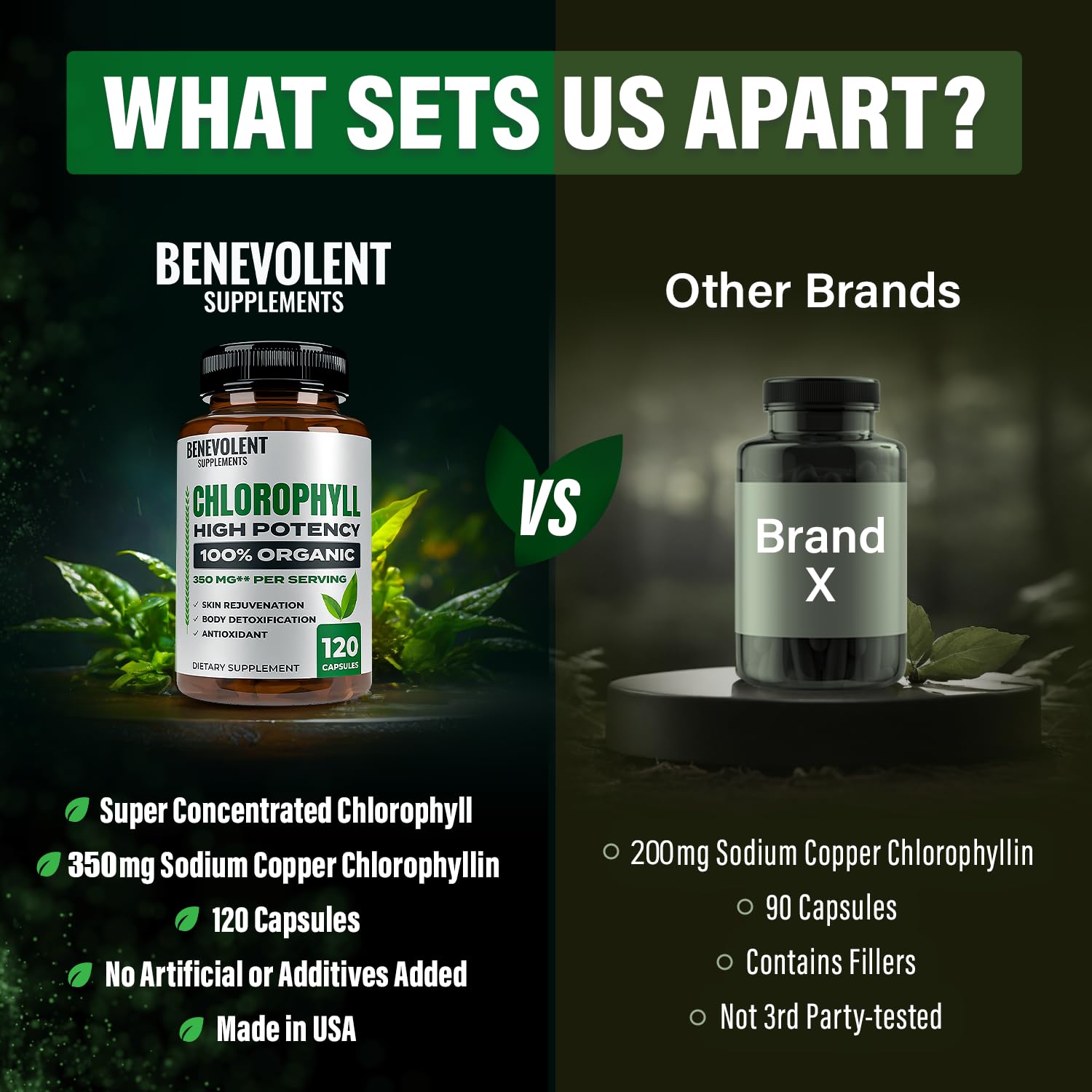 Immune support benefits icon for Benevolent Chlorophyll Capsules