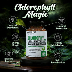 Close-up of product label showing 350 mg chlorophyll per capsule