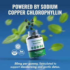 Digestive health and liver support concept image for chlorophyll gummies