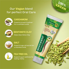 Cardamom pods and natural ingredients representing flavor infusion
