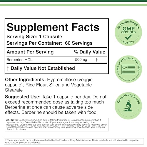 Close-up of Berberine 500mg capsules