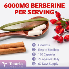High absorption and easy-to-swallow capsules