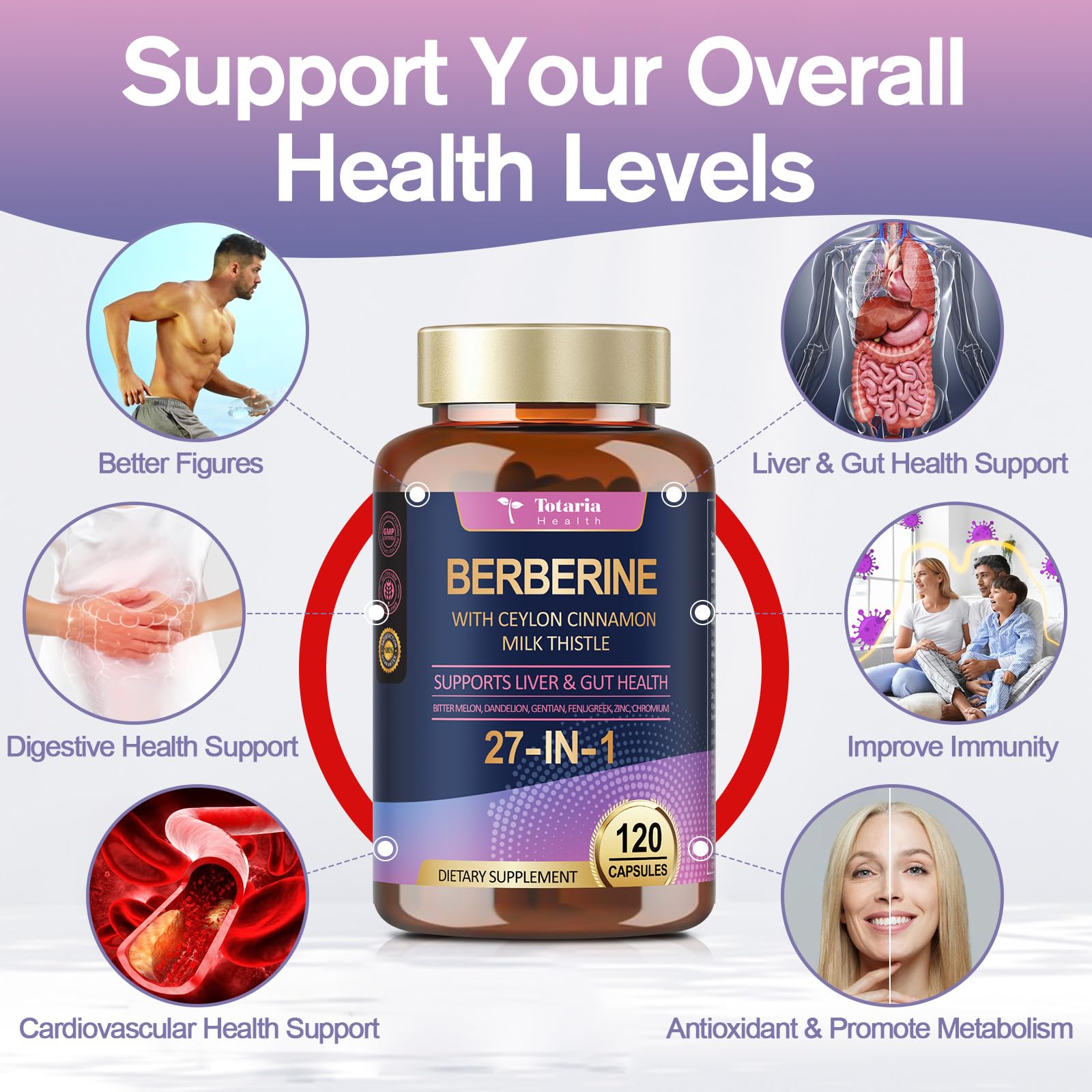 Immune support and digestion illustration