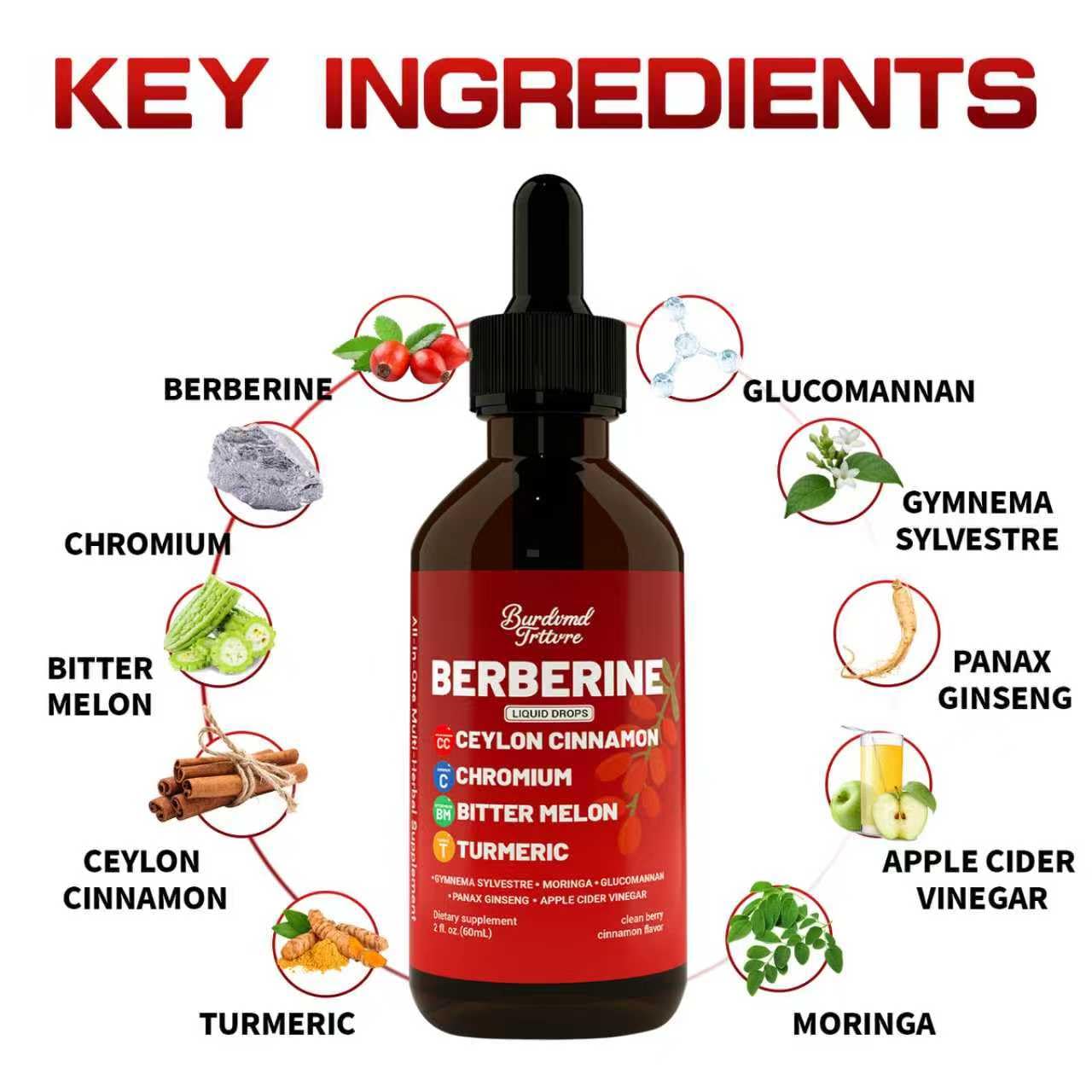 Graphic highlighting Berberine, Ceylon cinnamon, turmeric and other key ingredients