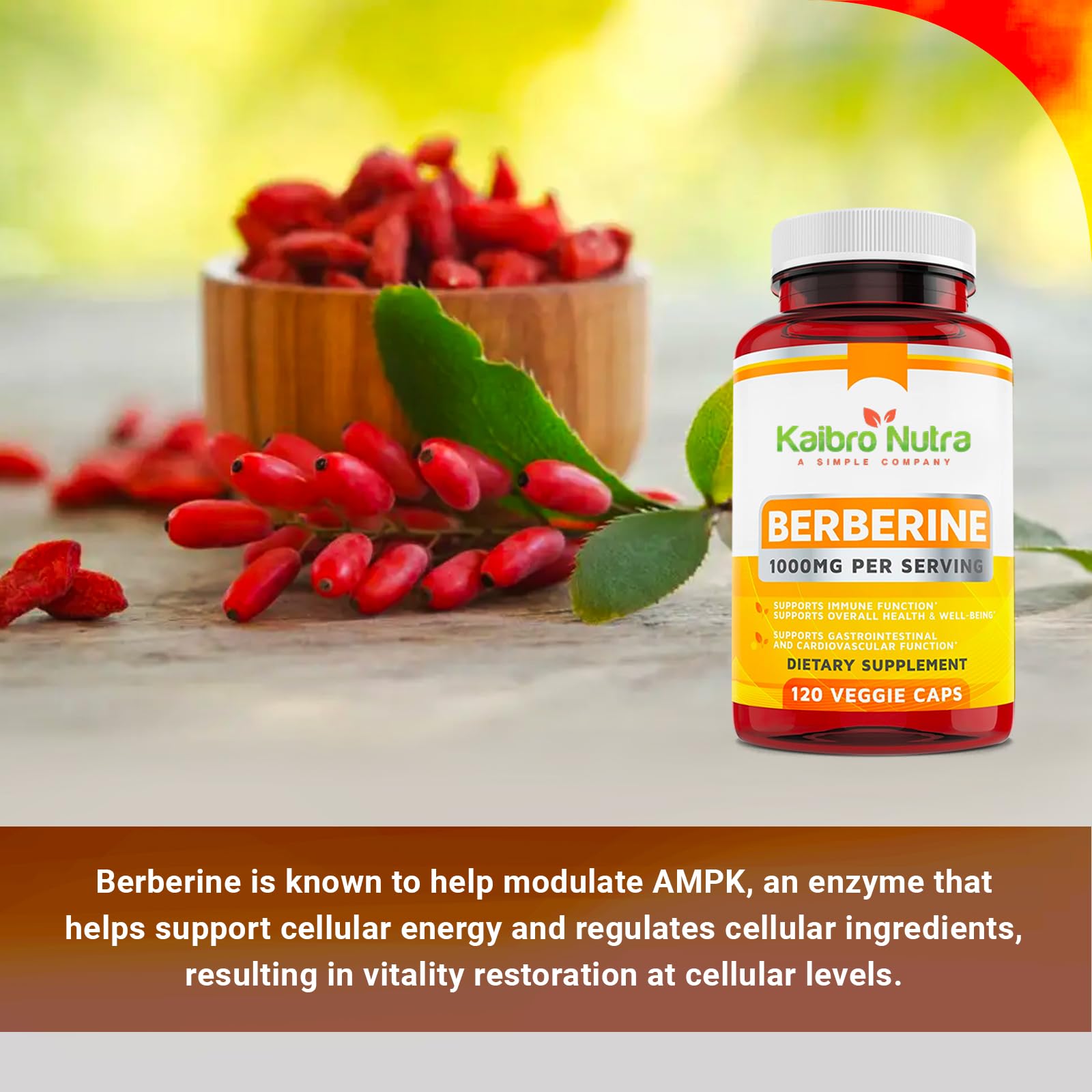 Berberine aiding digestive and gastrointestinal health