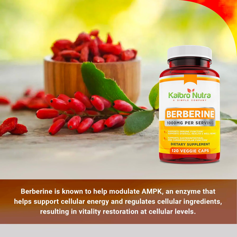 Berberine aiding digestive and gastrointestinal health