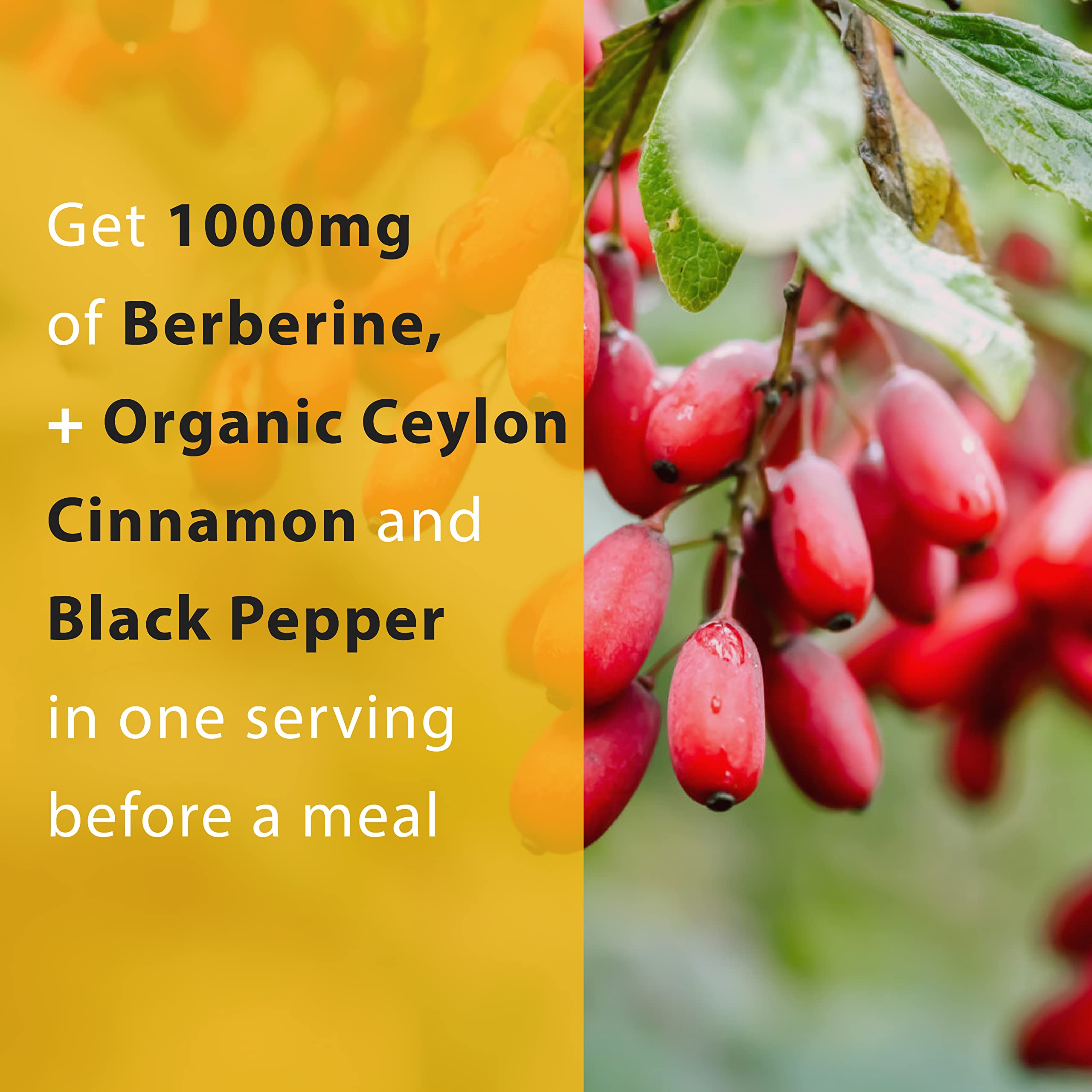 Berberine HCl 1000mg per serving