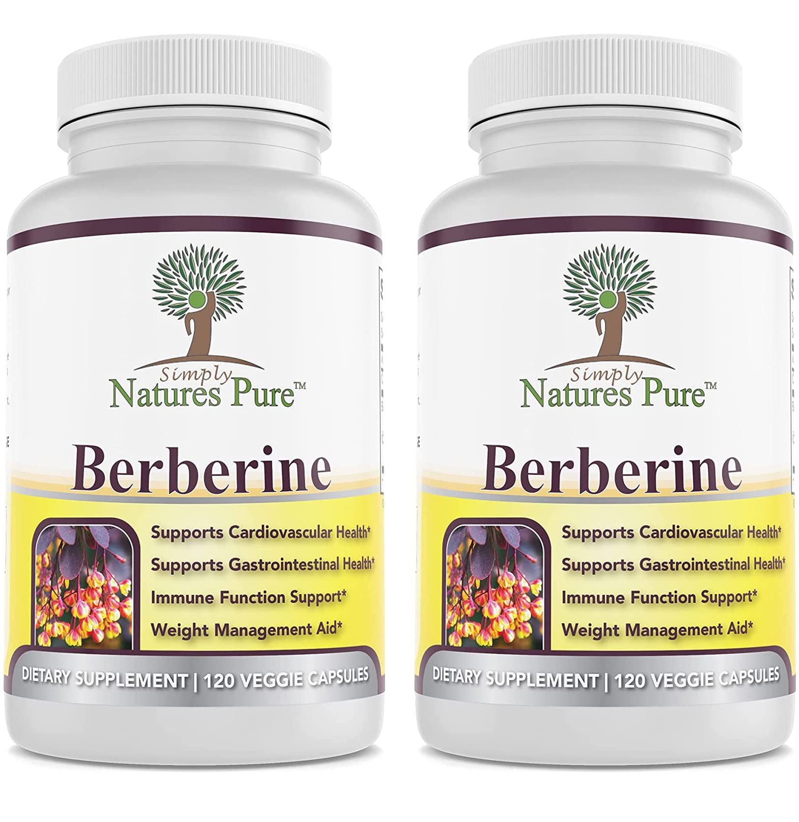 Front view of Simply Nature's Pure berberine HCl 500 mg capsules