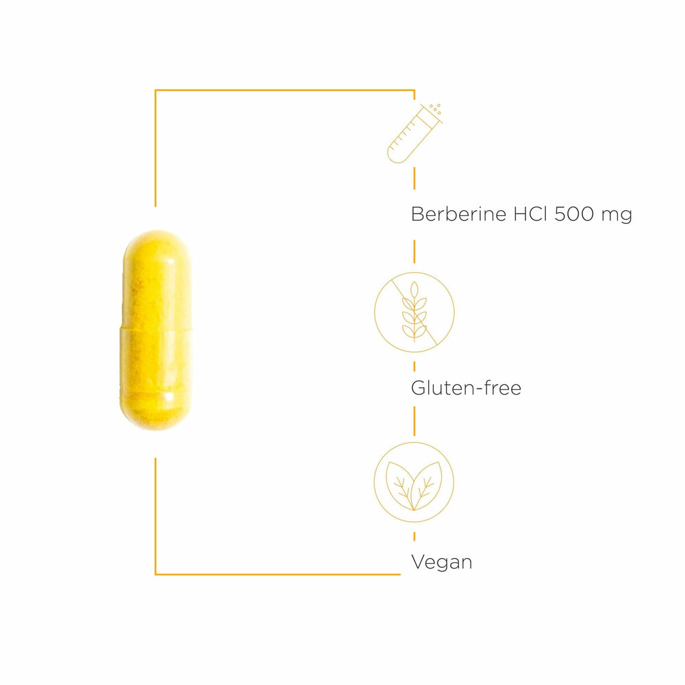 Illustration of berberine health benefits and cellular energy