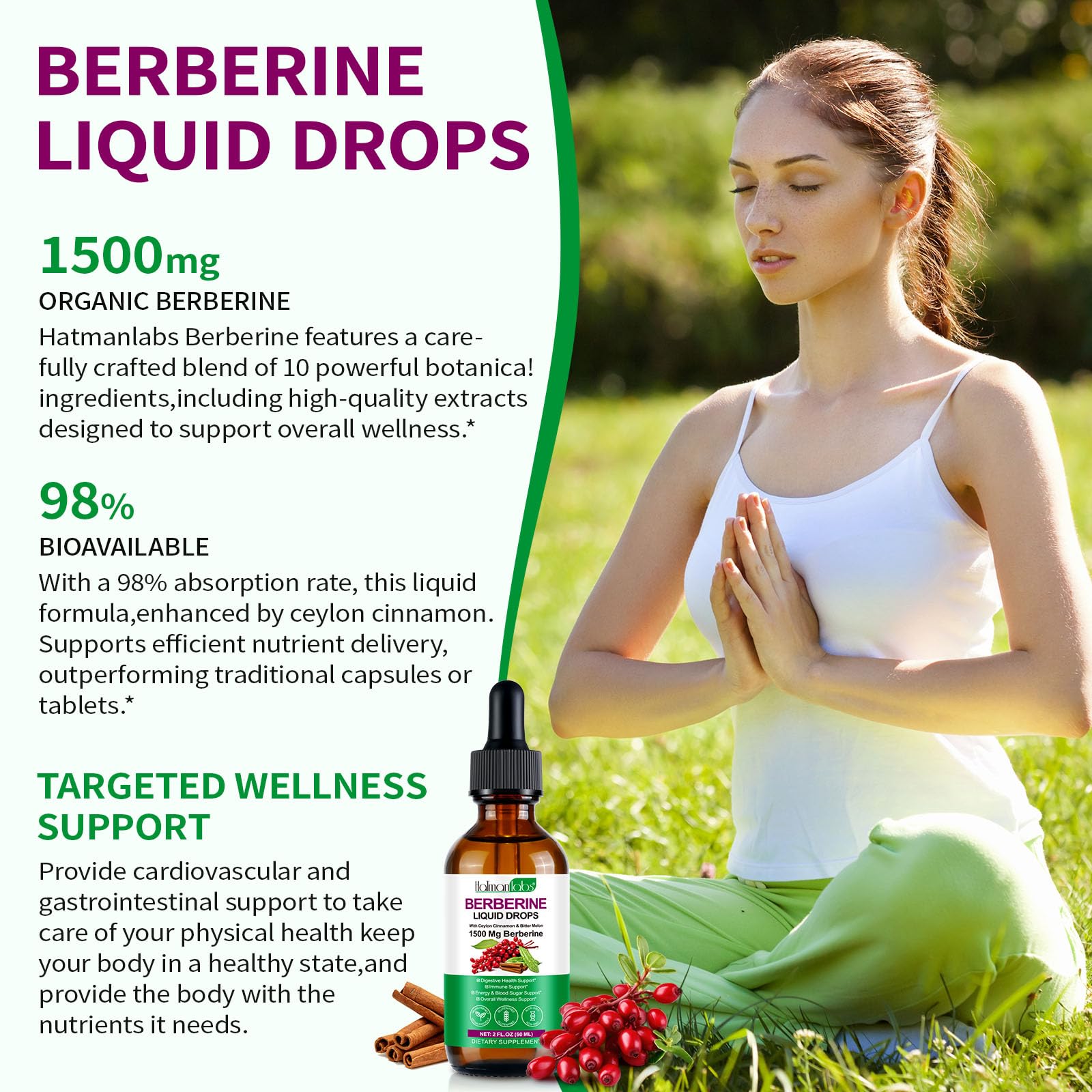 Graphic of the 12 botanicals in the formula
