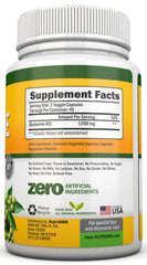 Berberine supports metabolism regulation