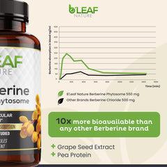 Ingredient: Grape seed extract