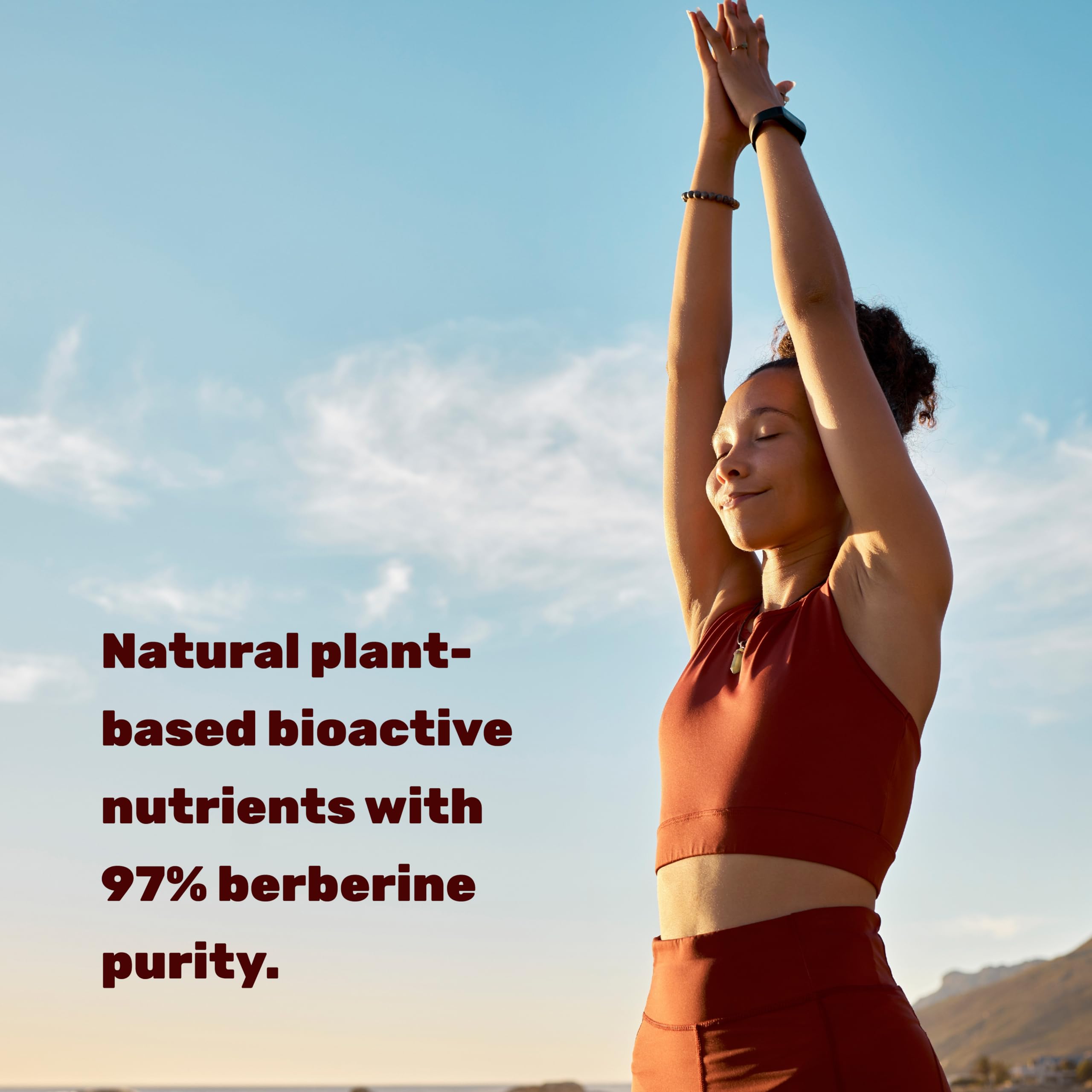 Berberine HCl 97% purity label