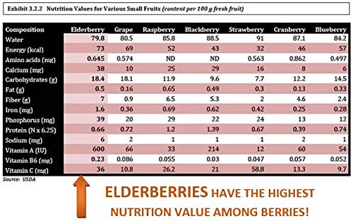 USDA Organic label on Berryqueen syrup