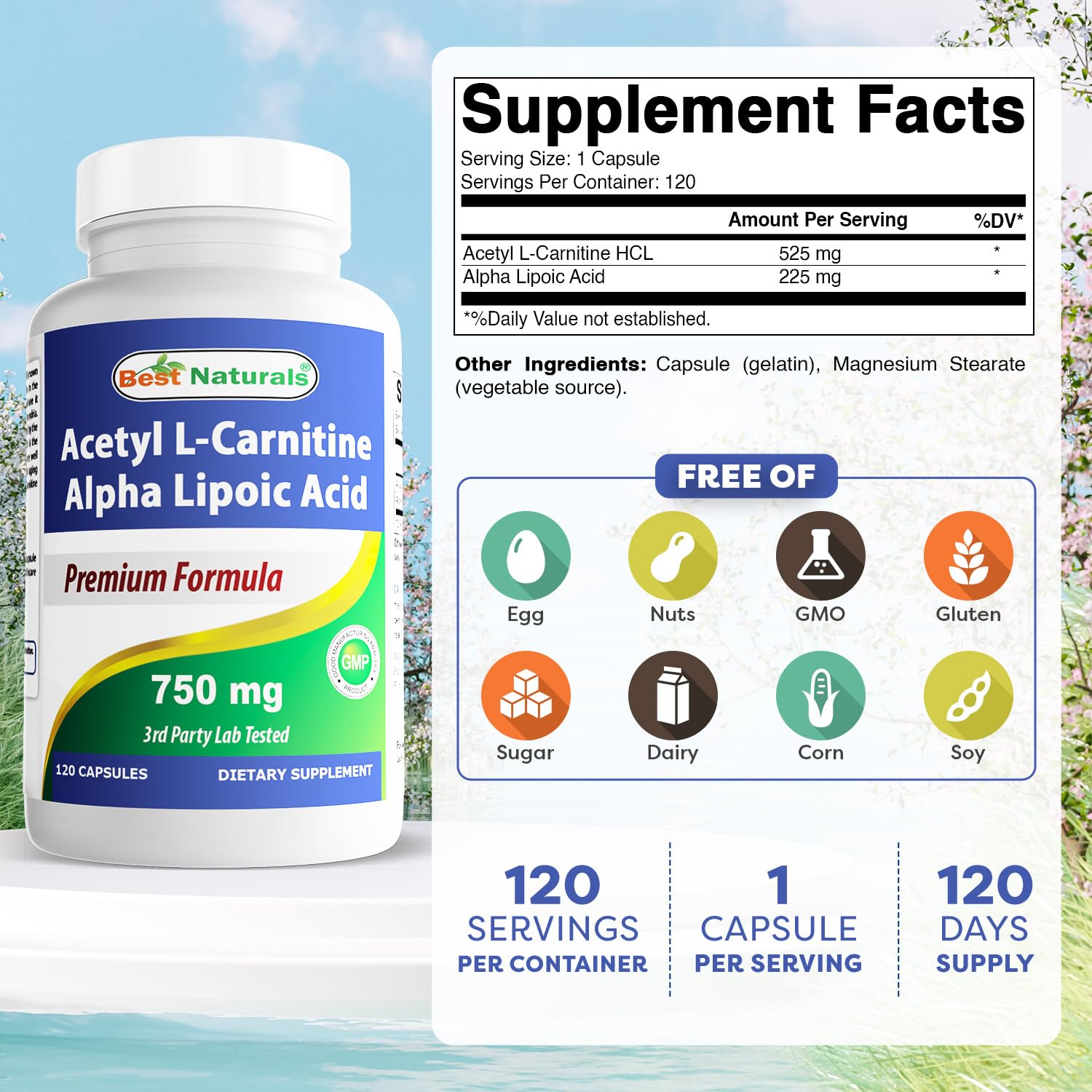 Close-up of 750 mg Acetyl L-Carnitine Alpha Lipoic Acid capsules