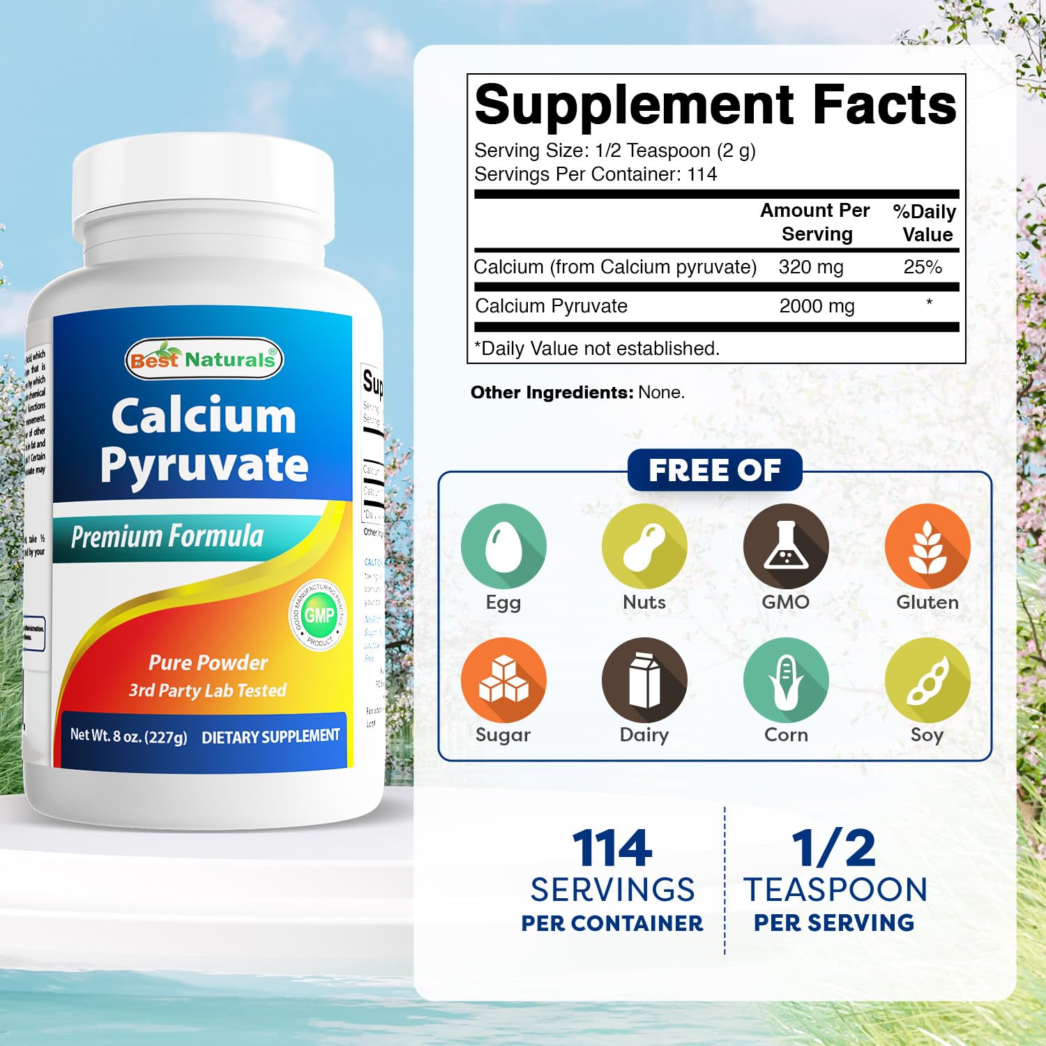 Two bottles labeled Best Naturals Calcium Pyruvate Powder (pack of 2)